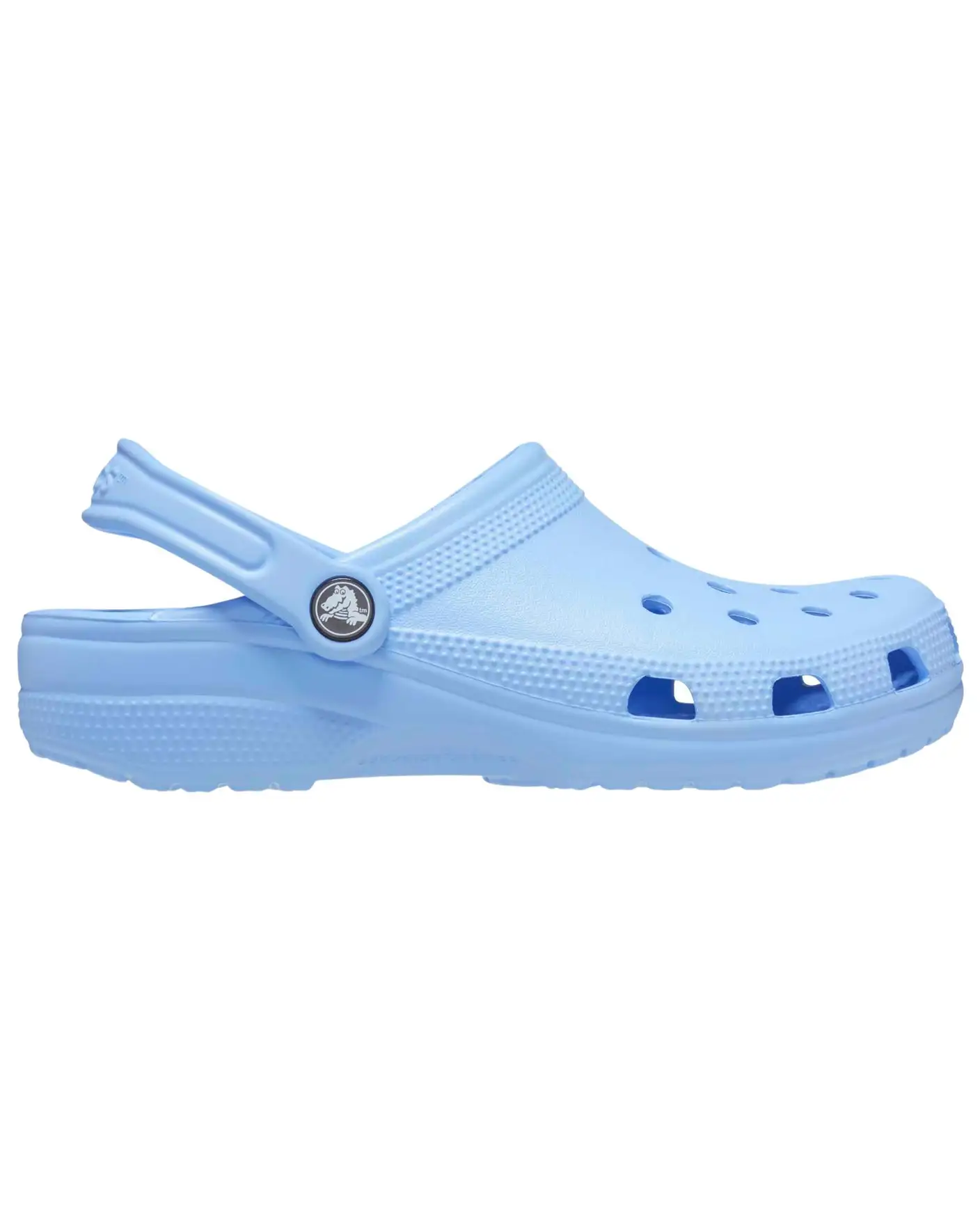 Watermelon top crocs adults
