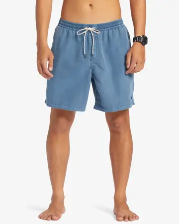 Mens Everyday Surfwash Volley Shorts Chances Surf NZ