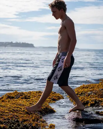 Volcom 2025 board shorts